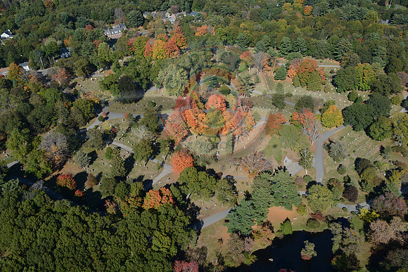 Milton Cemetery