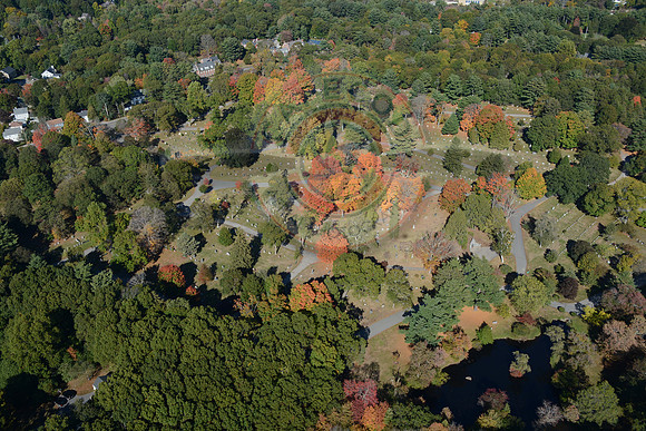 Milton Cemetery
