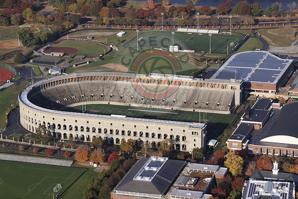 Harvard