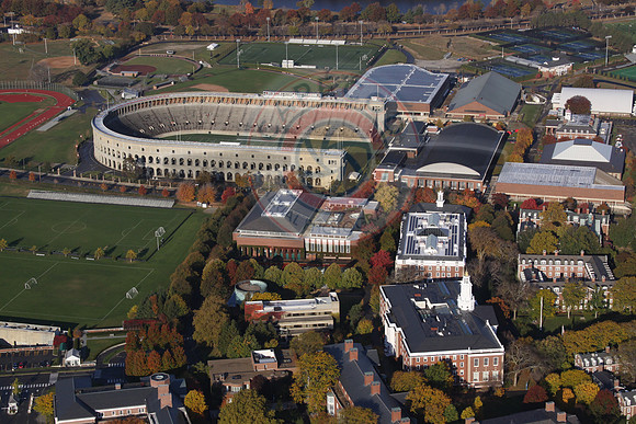 Harvard
