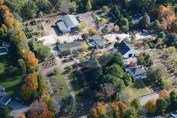 Thayer Nursery