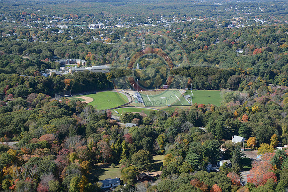 Curry College