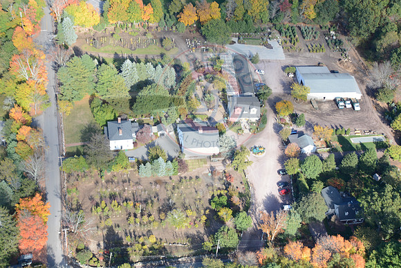 Thayer Nursery