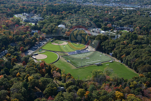 Curry College
