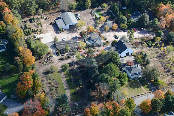 Thayer Nursery