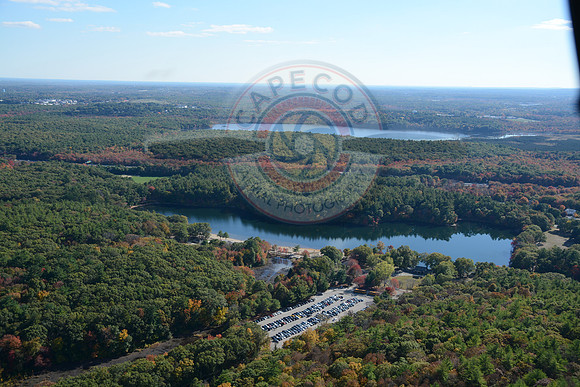Houghton's Pond