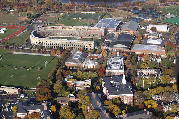 Harvard